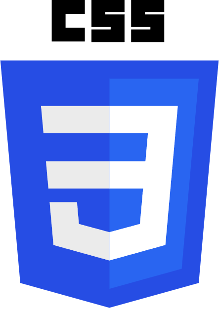 CSS Logo